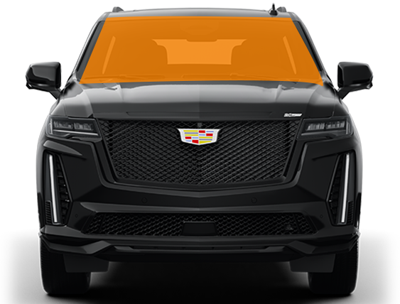 Windshield Protection Film.